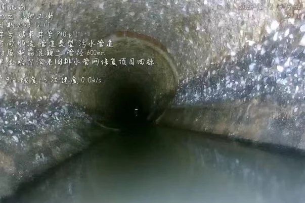 微信图片_20241030162344.jpg