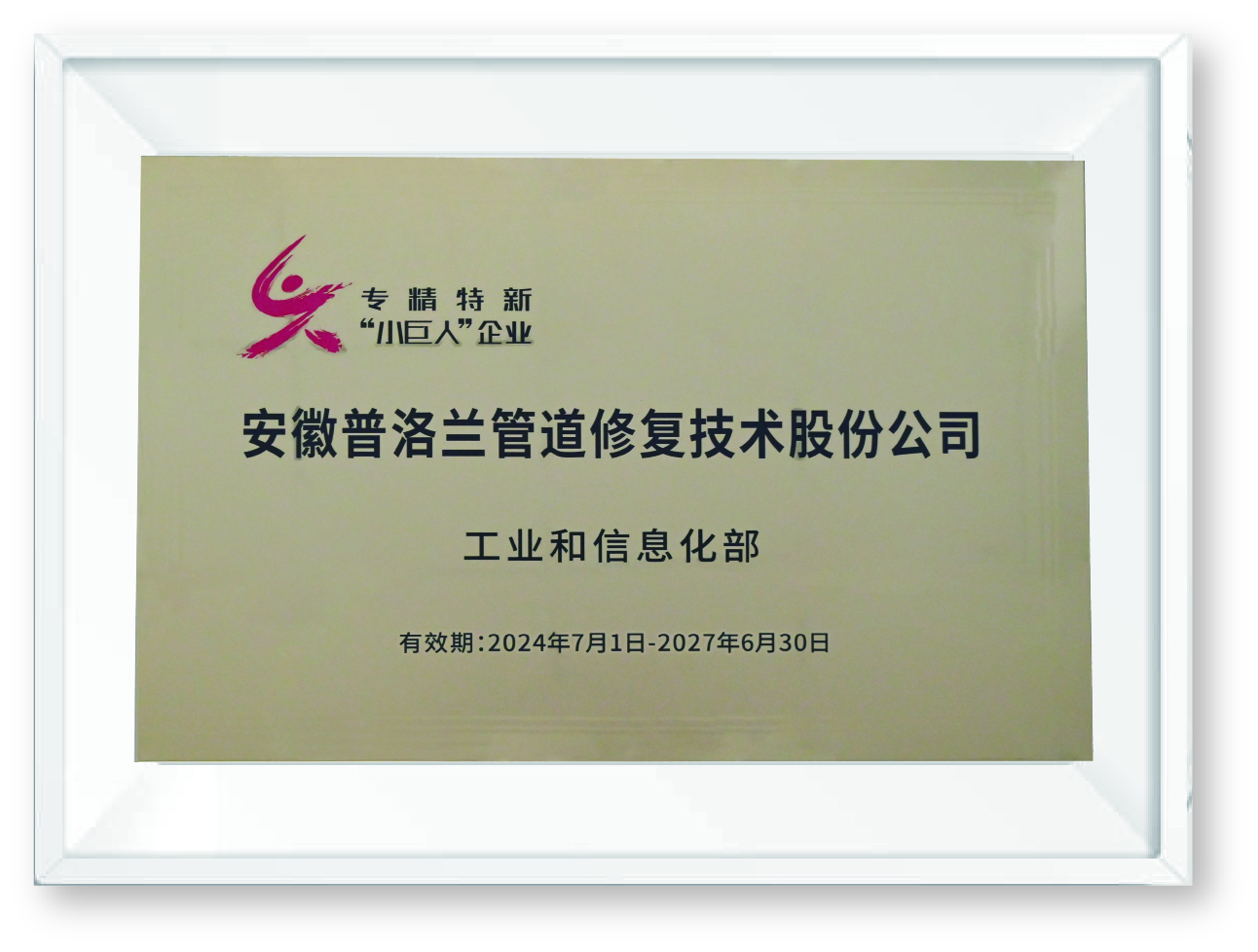 3、国家专精特新小巨人企业.jpg