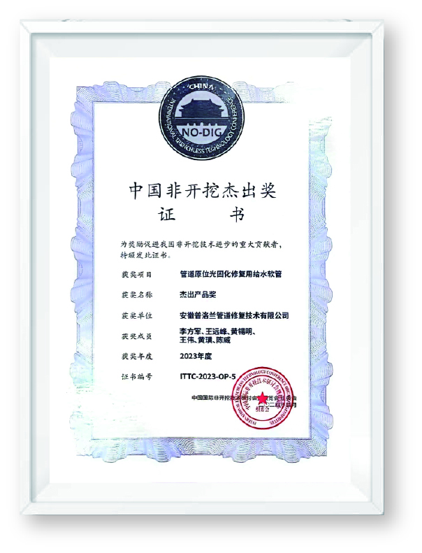 19、中国非开挖杰出奖证书.jpg