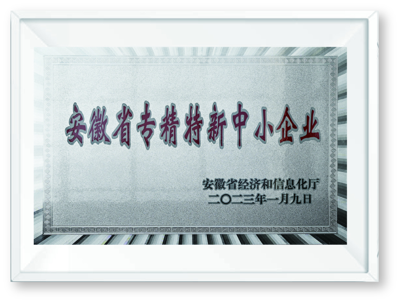 4、安徽省专精特新中小企业.jpg